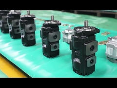 Industrie-Hydraulik-Gang-Pumpe aus Edelstahl für Lkw-Kran