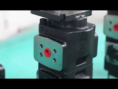Industriehydraulische Getriebepumpe Doule-Pumpe Fluss für Bagger