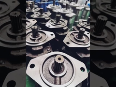 HIDRAULISCHE GANGPUMPEN-TEILNummer 32+32-R-13T 2+2 Rechte Drehung Hochdruck-HIDRAULISCHE GANGPUMPEN