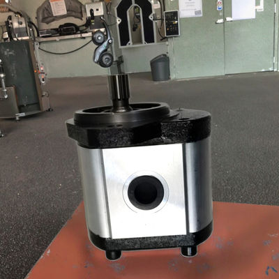 F540-13T-L-101.6 Hydraulische Getriebepumpe für schwere Maschinen 6 Monate Garantie