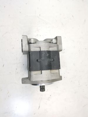 F540-13T-L-101.6 Hydraulische Getriebepumpe für schwere Maschinen 6 Monate Garantie