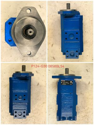 EC460 P124-G30 Hydraulik-Zahnradpumpe für Bagger 1 Jahr Garantie