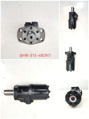 Hydraulik-Zahnradmotor BMR-315-4BDN1 Viele Kurven Rolle Radialkolben-Hydraulikmotor Betriebsdruck für Schwermaschinen