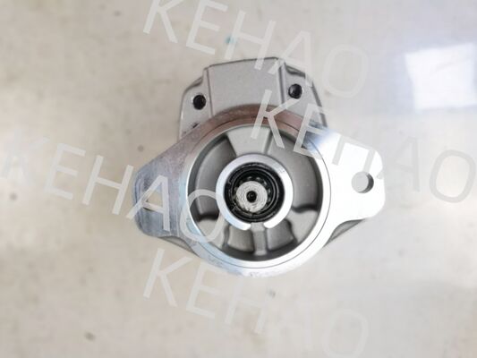 Hydraulische Getriebepumpe der Serie D41 einschließlich D41-45CC ((R) D41-6E+40-28CCR D41-400C ((R) mit 1060lpm Durchfluss aus AISI-Edelstahl und 1-Jahresgarantie