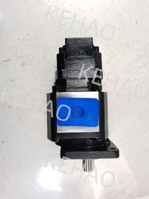 JHP3100+0010 6T L Hydraulische Getriebepumpe JHP2063L 6T JHP3166L 6T Landwirtschaftliche Maschinen Hydraulische für Katzen Lenkanlage OEM-Service