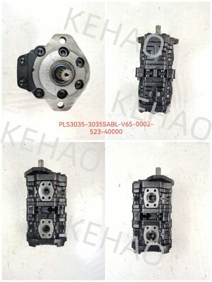 PLS Getriebepumpe PLS3035-3035SABL-V65-0002-523-40000 Eisen-Aluminium-Edelstahl-Mittelhochdruck-Hydraulische Getriebepumpe für Kawasaki-Ausrüstung