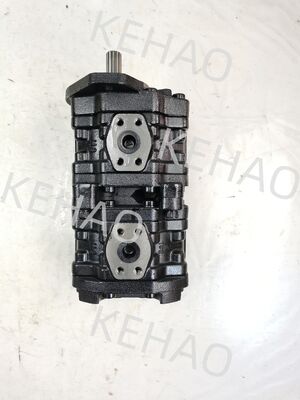 PLS Getriebepumpe PLS3035-3035SABL-V65-0002-523-40000 Eisen-Aluminium-Edelstahl-Mittelhochdruck-Hydraulische Getriebepumpe für Kawasaki-Ausrüstung