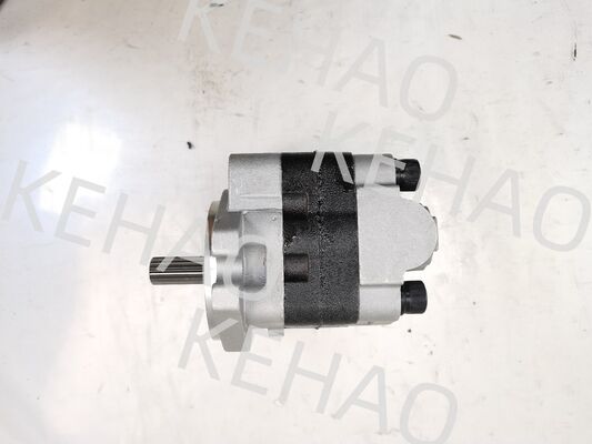 PVSD2-21 Hydraulik-Zahnradpumpe Eisen- und Aluminiumlegierungsmaterialien  Bereich für Baumaschinen Fabrikversorgung Hydraulikteile anpassen