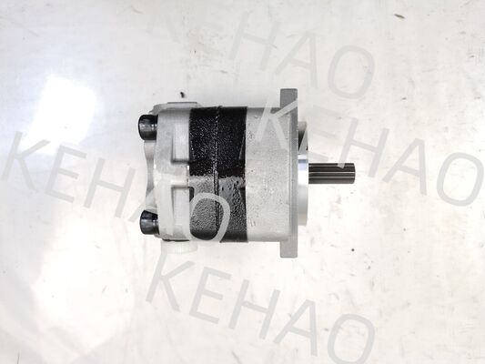 PVSD2-21 Hydraulik-Zahnradpumpe Eisen- und Aluminiumlegierungsmaterialien  Bereich für Baumaschinen Fabrikversorgung Hydraulikteile anpassen