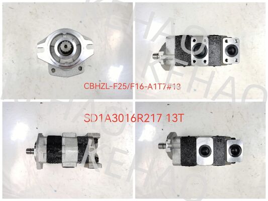 SD1A3016R217 13T(CBHZL-F25+F16-A1T7Φ13) Hydraulisches Getriebe Pumpe Lenkung und Leistungsanlage Hydraulische Ersatzteile für Kawasaki-Maschinen