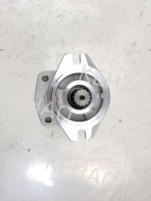 SD1A3016R217 13T(CBHZL-F25+F16-A1T7Φ13) Hydraulisches Getriebe Pumpe Lenkung und Leistungsanlage Hydraulische Ersatzteile für Kawasaki-Maschinen