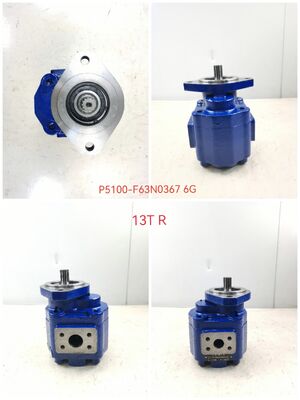 KEHAO Hydraulic Gear Pump P5100-F63N03676G Reparatur Hydraulische Teile Gusseisen Aluminiumlegierung Öl Getriebepumpe Für Baggergeräte ISO9001 zertifiziert