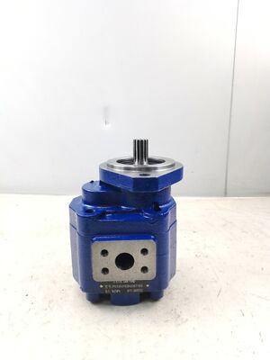 KEHAO Hydraulic Gear Pump P5100-F63N03676G Reparatur Hydraulische Teile Gusseisen Aluminiumlegierung Öl Getriebepumpe Für Baggergeräte ISO9001 zertifiziert