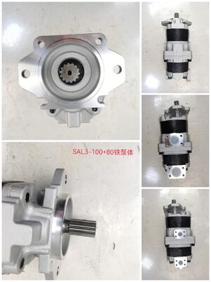 Werkseitige Lieferung Zahnradpumpe Hydraulikpumpe Verwendet in Schwerlast-Muldenkippern und Fahrzeugteilen Teilenummer SAL3-100+80 Hydraulikölpumpe aus Eisen- und Aluminiumlegierungen
