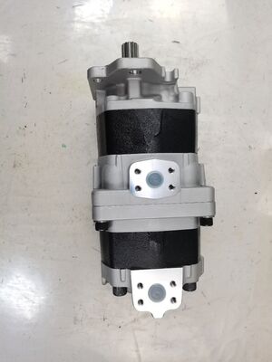 Werkseitige Lieferung Zahnradpumpe Hydraulikpumpe Verwendet in Schwerlast-Muldenkippern und Fahrzeugteilen Teilenummer SAL3-100+80 Hydraulikölpumpe aus Eisen- und Aluminiumlegierungen
