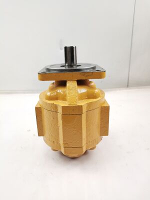 CBGj Serie Zahnradpumpe CBG2080L Hydraulikpumpe Gusseisen und Aluminiumlegierungsmaterialien Industriequalität Ölförderpumpe für Schwermaschinen Teile Fabrikversorgung
