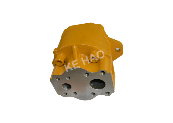 705-21-32051 Planierraupen-Pumpen-/Roheisen-versilbern hydraulische Zahnradpumpen Farbe
