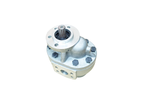 Zahnradpumpe-/Roheisen-Zahnradpumpe-Größe kundengebundenes langlebiges Gut TCM 75 hydraulisches