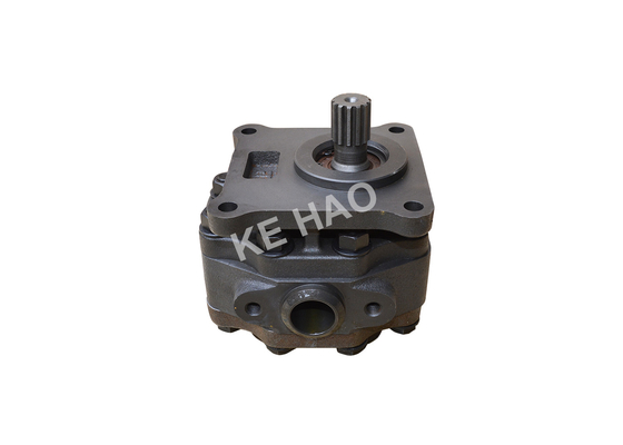 07433-72203 Pumpen-/Roheisen-versilbern hydraulische Zahnradpumpen der Planierraupen-07433-71103 Farbe