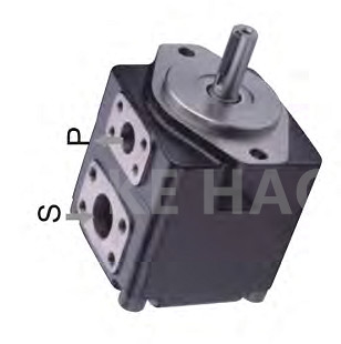 Hochdruckdoppeltes -Fluegelpumpe-Patronen-Edelstahl-Zahnradpumpe