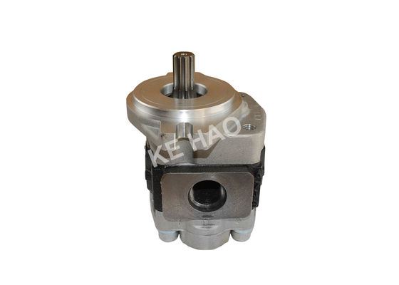 Langes Lebens-Aluminiumzahnradpumpe/Drehzahnradpumpe CBHZA-F36-AF Φ 10/13T