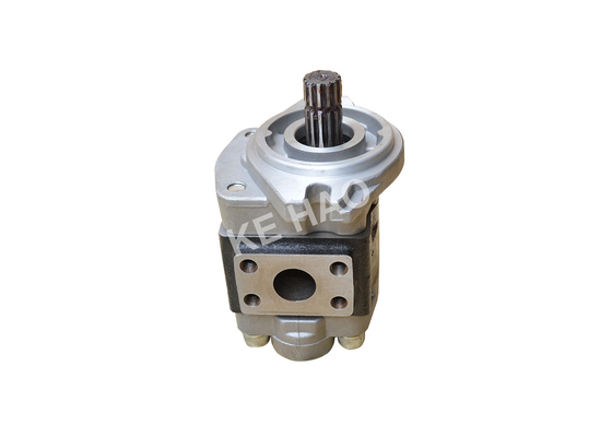 Langes Lebens-Aluminiumzahnradpumpe/Drehzahnradpumpe CBHZA-F36-AF Φ 10/13T