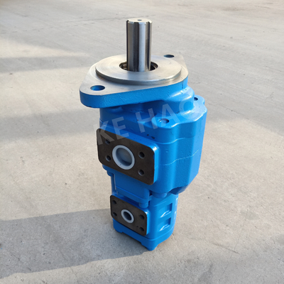 Hochdrucklader-Zahnradpumpe-Eisen-Aluminiumedelstahl-Material