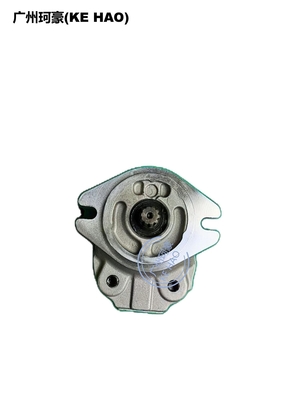 Pumpen-Versammlung des Standard-705-22-26260 D41E D41P