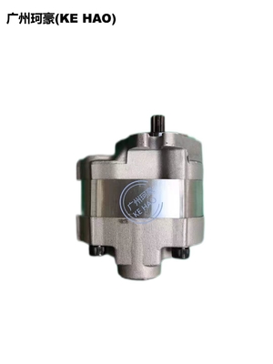 Pumpen-Versammlung des Standard-705-22-26260 D41E D41P