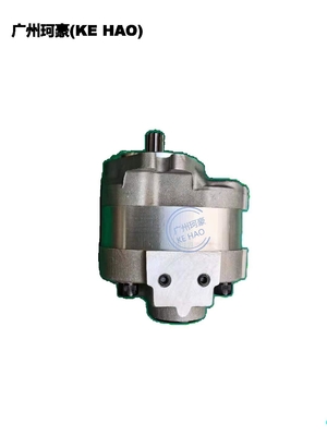 Pumpen-Versammlung des Standard-705-22-26260 D41E D41P