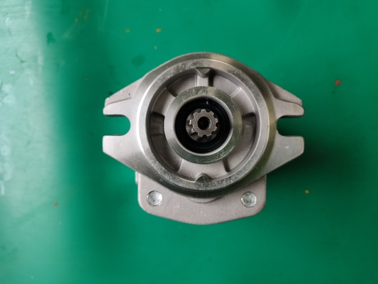 Zahnradpumpe Siver des Eisen-SGP1-F23-ALΦ9R und schwarze Farbe