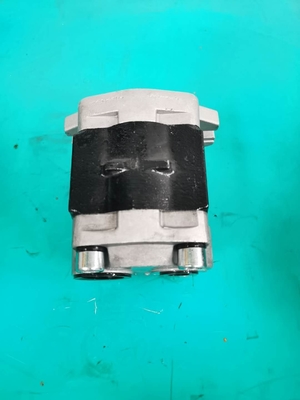 SGP1-F36-ALΦ10L H SGP Reihen-Zahnradpumpe 07437-71300 175-13-23500
