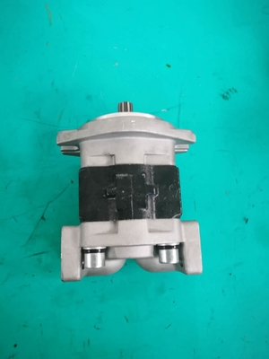 Hydraulische SGP1A-25-AFΦ9 Zahnradpumpe 175-13-23500 D135A D155A