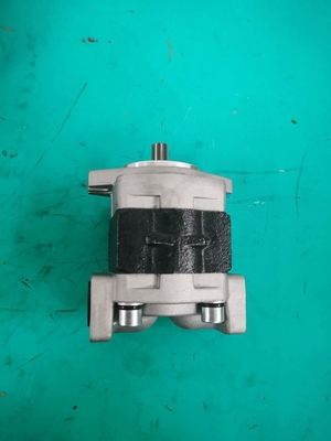 Hydraulische SGP1A-25-AFΦ9 Zahnradpumpe 175-13-23500 D135A D155A