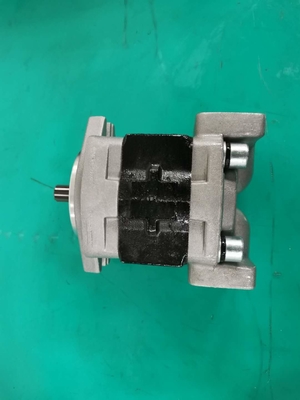 Standardeisen materielles SGP1AF25-ALΦ9 L Zahnradpumpe
