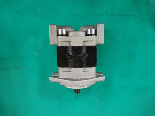 Standardeisen materielles SGP1AF25-ALΦ9 L Zahnradpumpe
