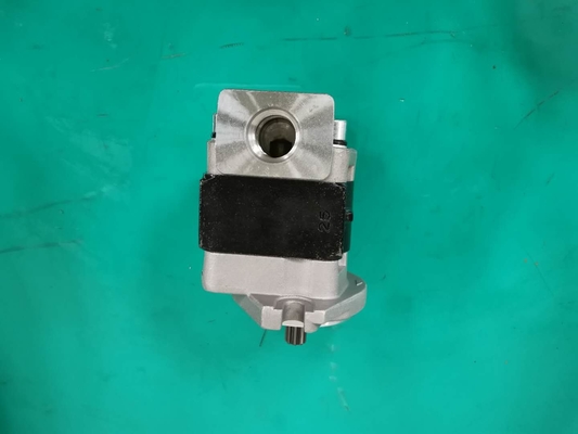 Standardeisen materielles SGP1AF25-ALΦ9 L Zahnradpumpe
