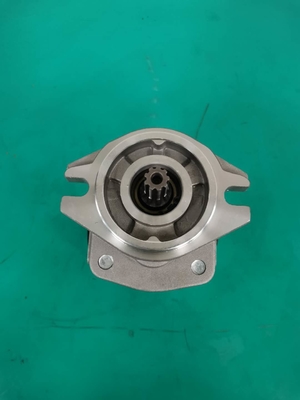 Reihe Siver der Soem-Zahnradpumpe-SGP1AF25-ALΦ9 R SGP und Schwarzes